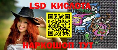 стаф Будённовск