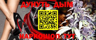 стаф Будённовск